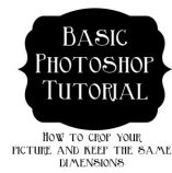 basicphotoshop copy