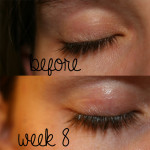 Fysiko Lashes Review – Week 8 