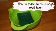 makeoldspongesmellfresh